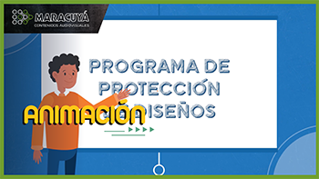 INDECOPI -  Protección de Diseños